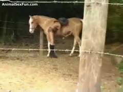 Milf in heats loves sucking the horse's dick in such manners 